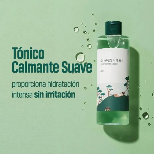 [Round Lab] Pine Calming Cica Toner - Imagen 5